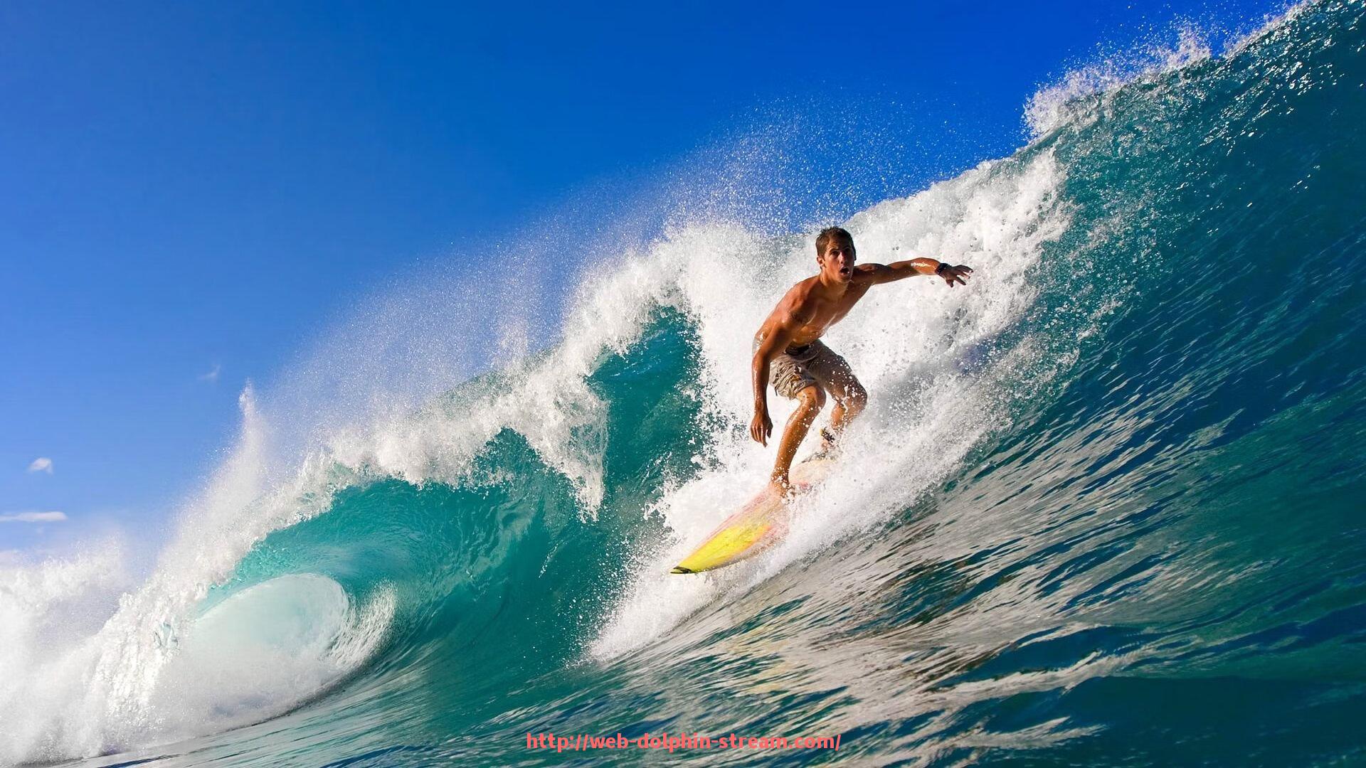 海豚直播-西甲联赛直播在哪看？最新推荐平台与播放入口